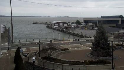 Lake Erie Webcams 